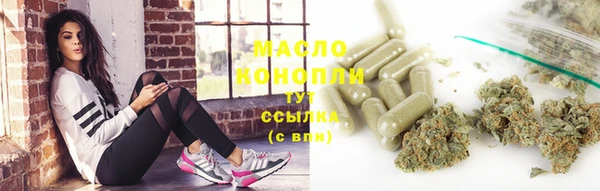 гашик Алексеевка