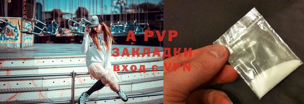 гашик Алексеевка