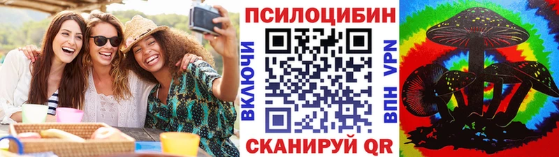 где можно купить   Кимовск  Псилоцибиновые грибы ЛСД 