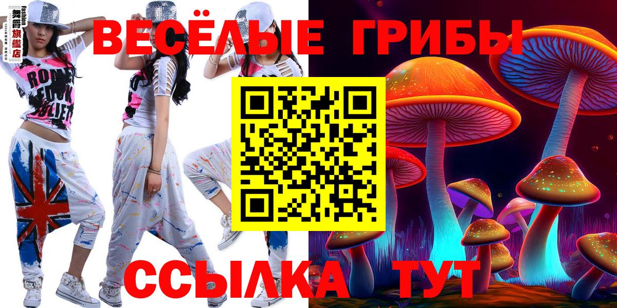 что такое   Псилоцибиновые грибы ЛСД  Вход с VPN  Кимовск 