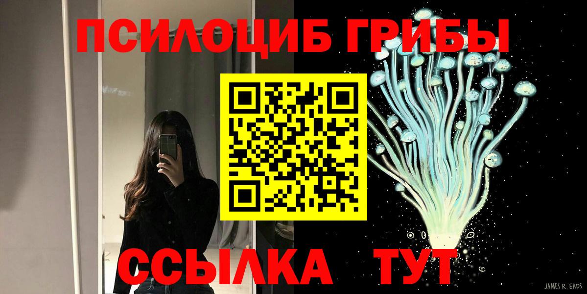 Псилоцибиновые грибы прущие грибы Кимовск